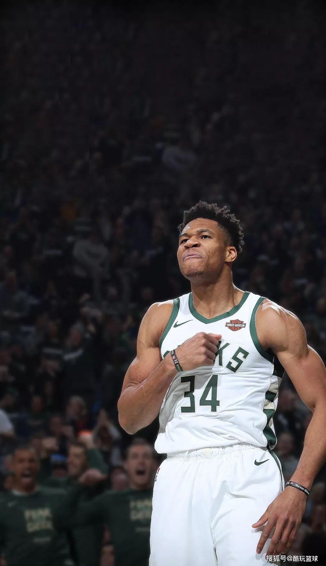 乐部的欧战 乐部的欧战