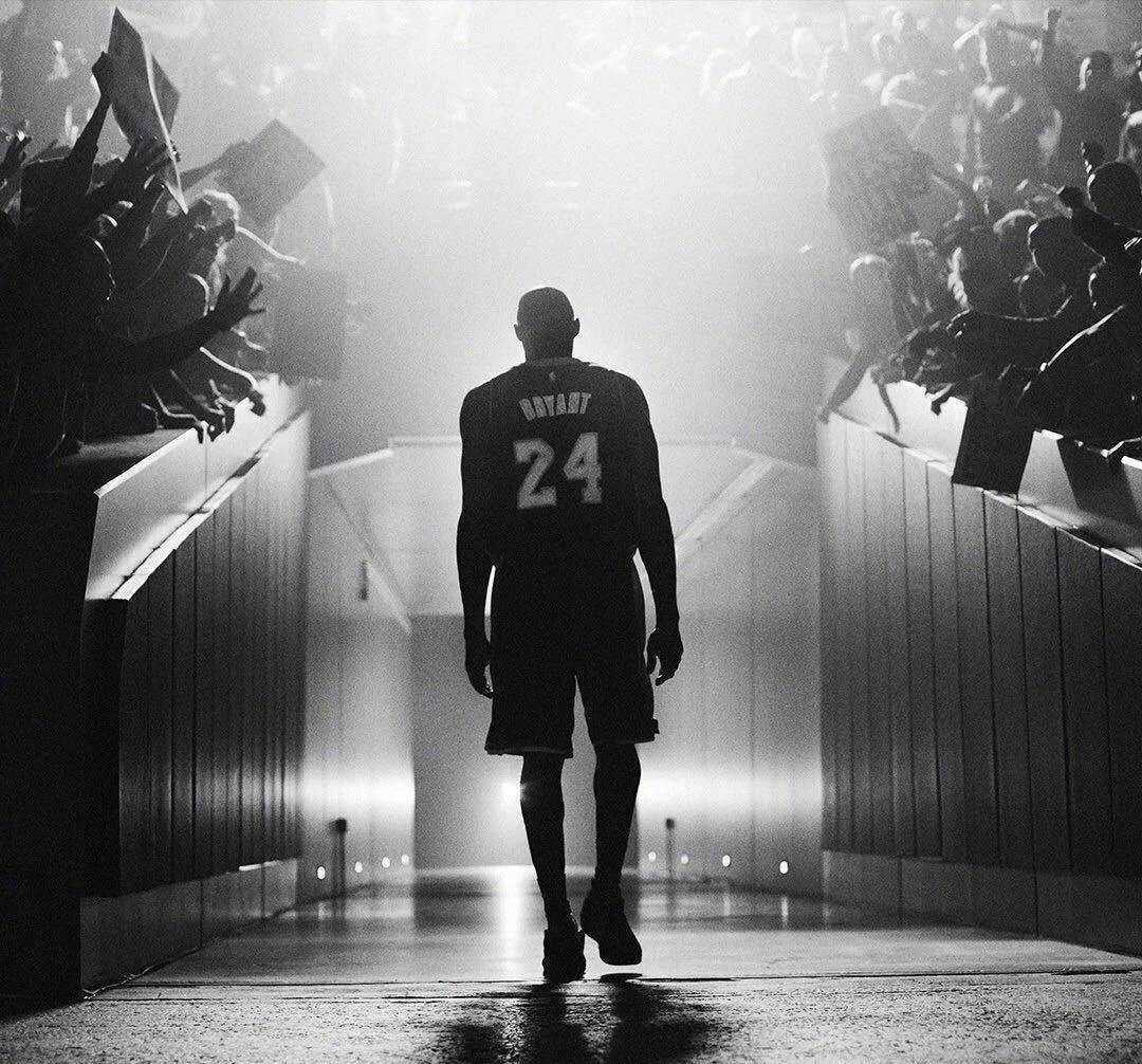 强调代码与 强调代码与